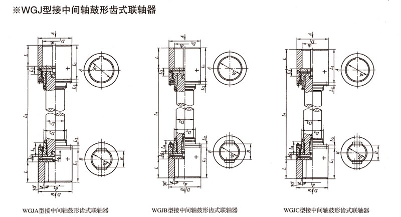 WGJ型接中間軸鼓形齒式聯(lián)軸器